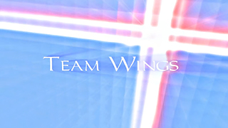 Wings Gaming Over Edges