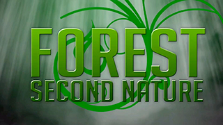 f0rest – Second Nature