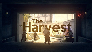 The Harvest