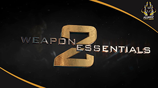 Weapon Essentials 2